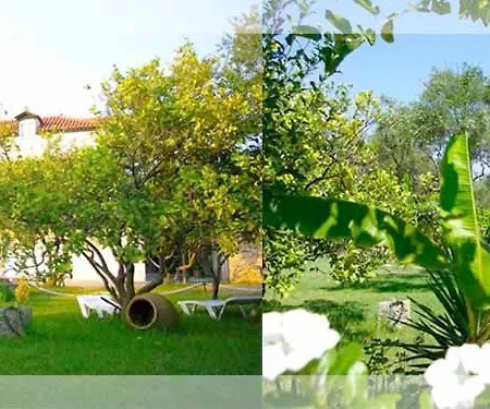 Gerakari Thalassa Apartment Kypseli