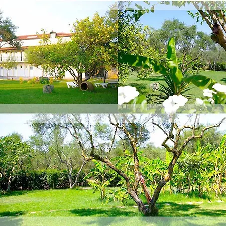 アパート Gerakari Thalassa *